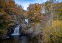 The group will focus on habitat restoration, maintaining or increasing biodiversity, upping climate change resilience and unlocking economic potential from timber and venison in the area