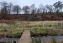 The landowners I’ve been nagging for the last six months to do something about their hedging have suddenly decided it’s a priority.