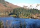 Catering and retail operations at NRW's three visitor centres, including Bwlch Nant yr Arian, are to cease. Credit: Laurence Hammerton.