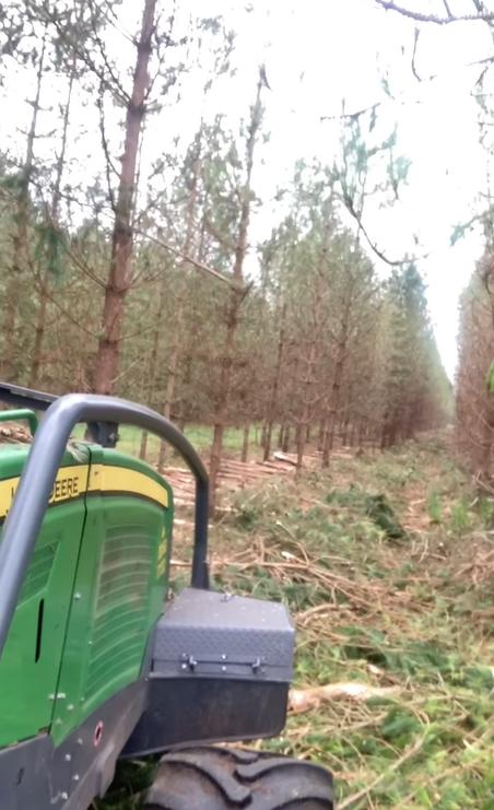Forestry Journal: Martyn showed off the site he was working on 