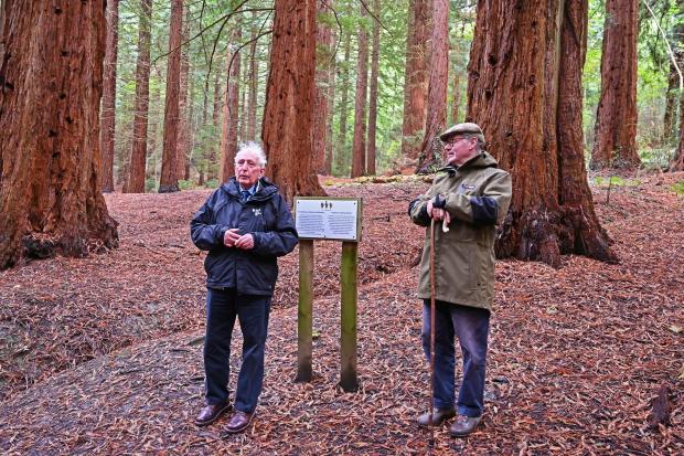 Forestry Journal: David Williams, left, gives his last guided tour of the historic Leighton redwoods to RFS members and friends, with President Sir James Scott, right.