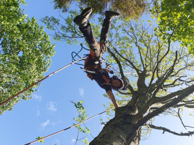 Forestry Journal: Putting the rope up.