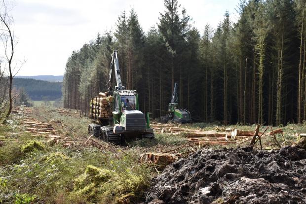 Forestry Journal: XCut Logging’s John Deere machines were seen at work in the woods. 
