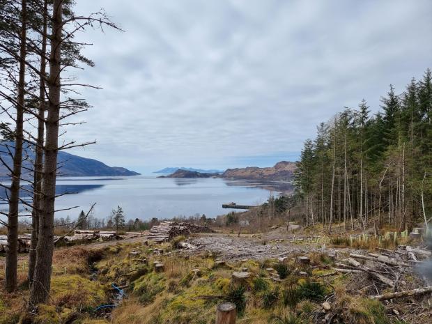 Forestry Journal: Traditionally known as ‘The Rough Bounds’ and ‘Scotland’s Last Great Wilderness’ because of its remoteness in the West Highlands, Knoydart is renowned for its beauty and tranquillity. Evidence of the Knoydart Forest Trust’s work is never far away.