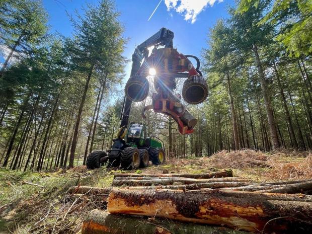 Forestry Journal: Jed Cole 