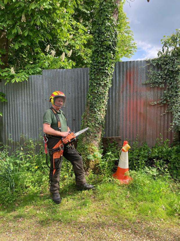 Forestry Journal: Arboricultural consultant Shane Lanigan still likes to keep his hand in with some hands-on tree work.