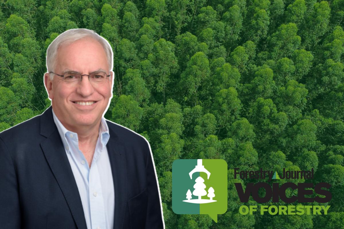 'Innovation can drive a more sustainable future': Biotech chief on forestry solutions