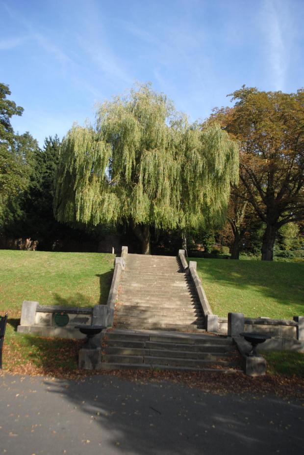 Forestry Journal: The golden weeping willow (Salix chrysocoma) on the site of the old glass pavilion looks even more impressive from a distance.