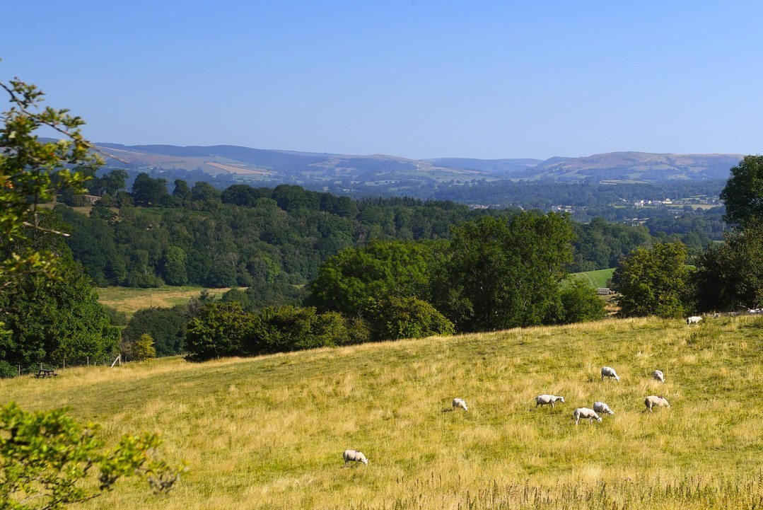 The responses mark the next stage of policy development in Wales.