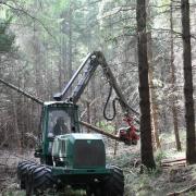 How forestry finance can help grow the sector