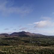 Woodland Trust creates largest native wood in Northern Ireland