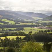 FLS plans for Glentress work post-COVID