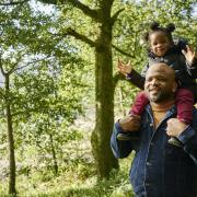 Phased re-opening for Scots forest car parks