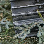 FLS team works to keep harvesting on track during pandemic