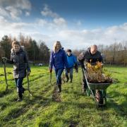 Scots business sponsors 10,000 trees for Glasgow's biggest woodland project