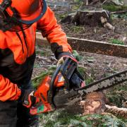 Courses include chainsaw operation