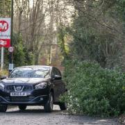 Storms Malik and Corrie blew down trees across the country