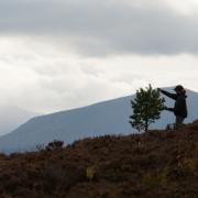 A NEW croft has been created in Moray for the first time since crofting was extended to the area in 2010  (Pic: Woodland Trust/John MacPherson)