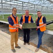 Simon Baynes MP with Ben Goh and Mark O’Neill in the new forest greenhouse at Maelor Forest Nurseries.