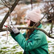 Leicester City in the Community has become one of the first places to offer a Level 1 Forestry in the Community qualification