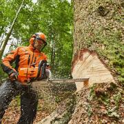 Courses on chainsaw maintenance are among those on offer