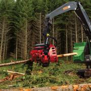 A variety of jobs are currently vacant in forestry