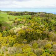 The 15,000-acre Mulgrave Estate in the national park has announced plans to plant 300,000 trees