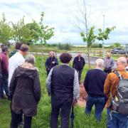 The day aimed to equip tree managers with the knowledge and skills to help ensure the trees they manage thrive and reach their full potential.