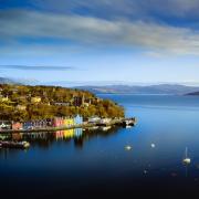 The woodland will be created on the Isle of Mull