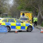 Death and injury on the roads can often involve trees.