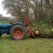 The Fordson Major helping to clear up a windblown oak
