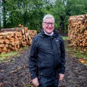 Fergus Ewing's previous cabinet secretary role included the forestry brief