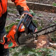 Stock image of a chainsaw used for illustrative purposes only