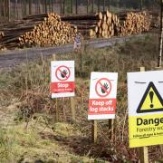 The landowner failed to replace felled trees