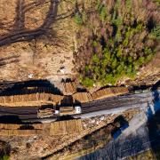 Forestry has had to deal with a lot lately, including a massive budget cut in Scotland