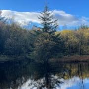 A view from the cabin