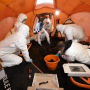 Archaeologists from the PSNI’s body recovery team at the site in Bellaghy, Co Londonderry