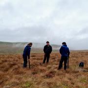 Peatland restoration