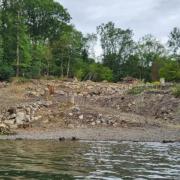 Image showing the felling of trees on the shoreline of Windermere