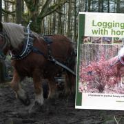 Horse logging remains an important practice in forestry.