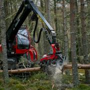 FLS produces 45 per cent of the Scottish timber market supply.