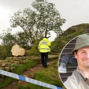 Our forester, inset, was falsely linked to the court case over the tree's felling