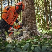 Battery-powered tools can transform work for hand cutters and arborists