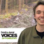 Ralph Green argues for foresters to do more with conifer brash