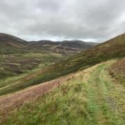 The plantation - along the John Buchan Way -will be mostly made up of Sitka spruce