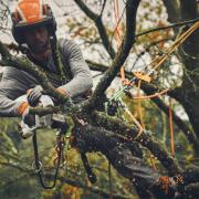 The GTA 40 is Stihl's STIHL’s first professional battery-powered pruner