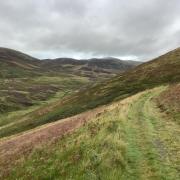 The plantation is due to surround the James Buchan Way near Peebles