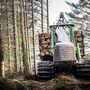 Sustainable and productive forestry creates a vibrant rural economy