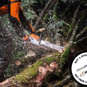 Buy a STIHL Chainsaw. Get a FREE Saw Chain and EasyFile