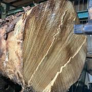 Our sawmill insider wrestled with some oak